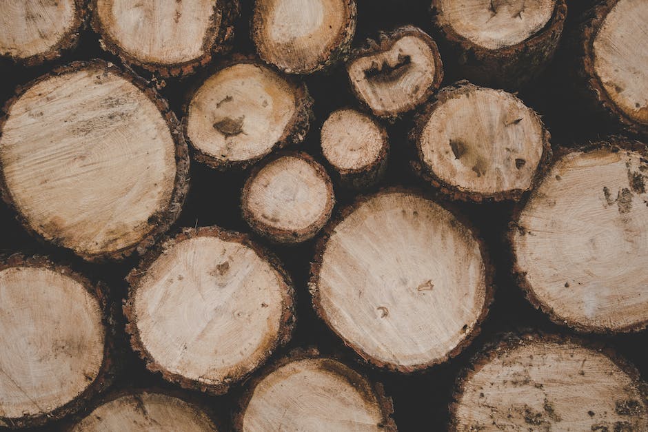Drewno jako ekologiczny materiał budowlany: Korzyści dla środowiska i zdrowia